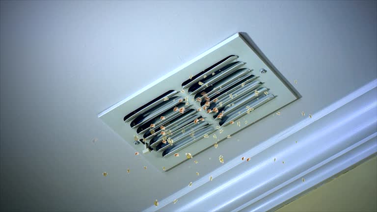 Best Affordable HVAC Duct Cleaning  in Stanton, CA