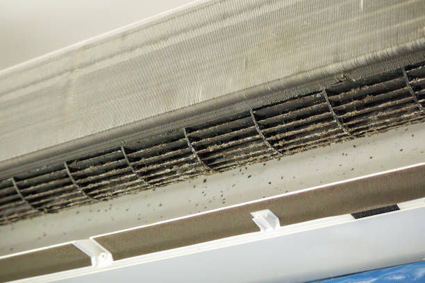 Best Dryer Vent Cleaning Services  in Stanton, CA